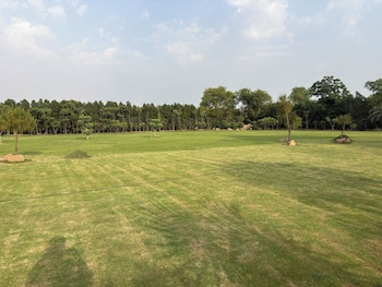 the greenwood farm and lawn bijwasan