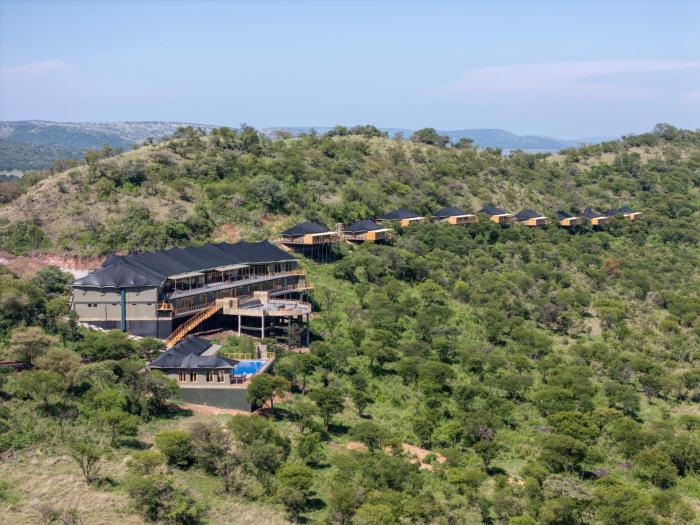 serengeti