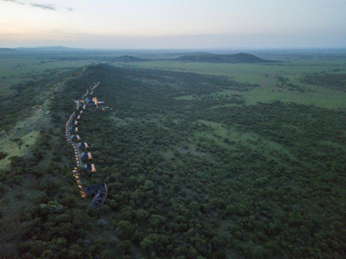 serengeti