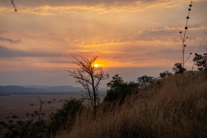neptune serengeti luxury tented camp