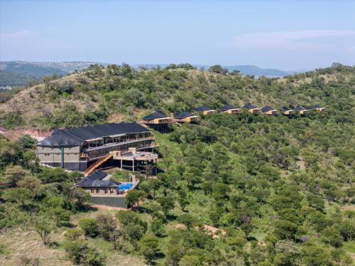 serengeti