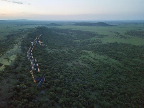 serengeti