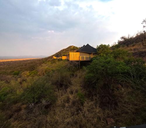 neptune serengeti luxury tented camp
