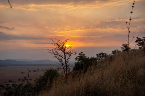 neptune serengeti luxury tented camp