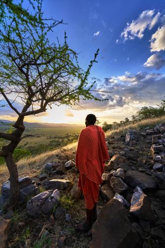 serengeti