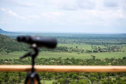 neptune serengeti luxury tented camp