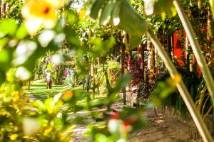 sao miguel do gostoso