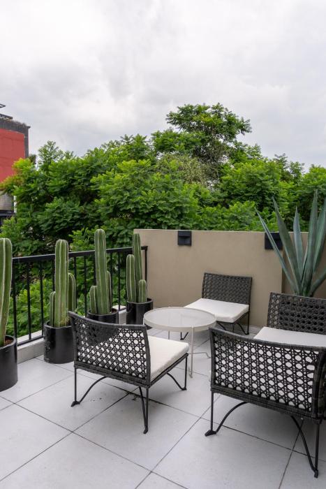 chihuahua boutique centric studio and loft