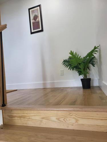 tkc villa