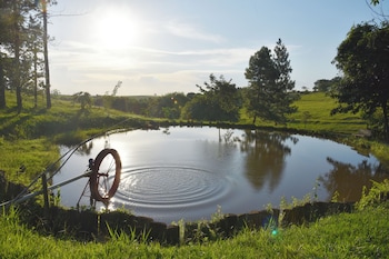 cajuru