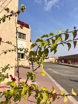 jizan