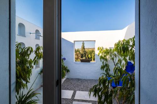 dar jbel hammamet