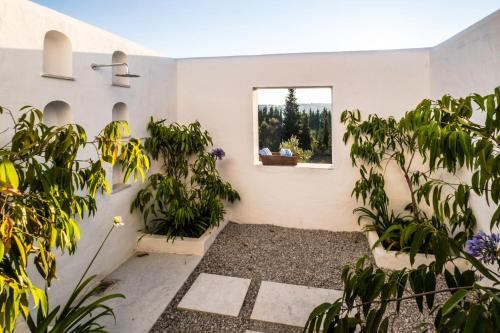 dar jbel hammamet