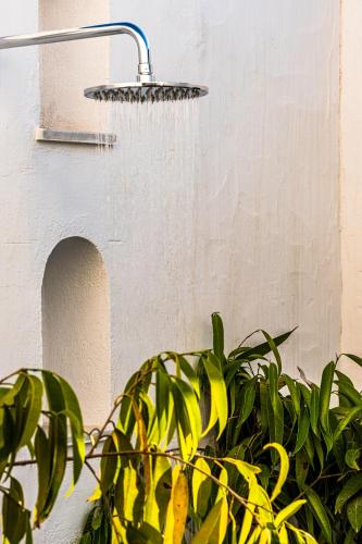 dar jbel hammamet