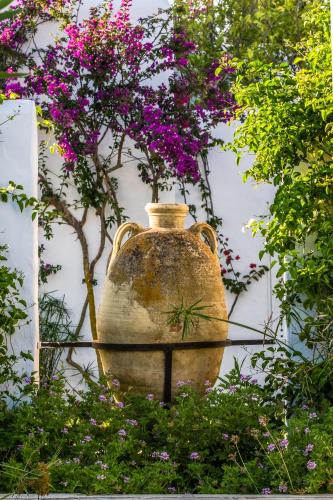 dar jbel hammamet