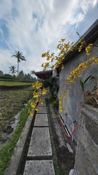 rumah kemuning bali