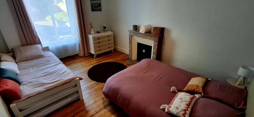 les suites fisel