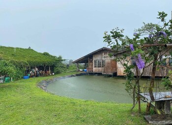 uncle ong homes khaokho
