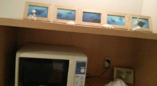 hotel happy holiday ishigakijima