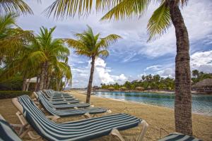 the royal sea aquarium resort