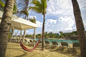 the royal sea aquarium resort