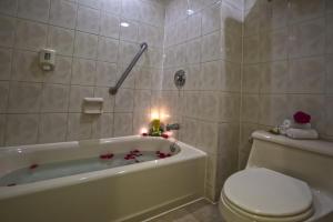 the royal sea aquarium resort