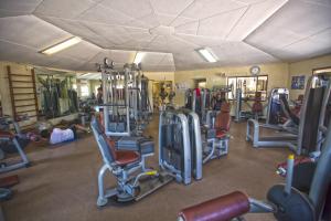 the royal sea aquarium resort