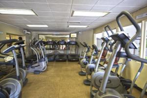 the royal sea aquarium resort