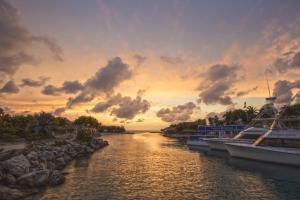 the royal sea aquarium resort