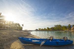 the royal sea aquarium resort