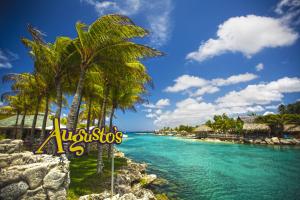 the royal sea aquarium resort