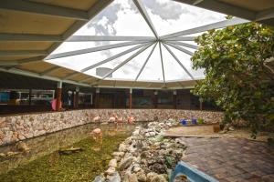 the royal sea aquarium resort