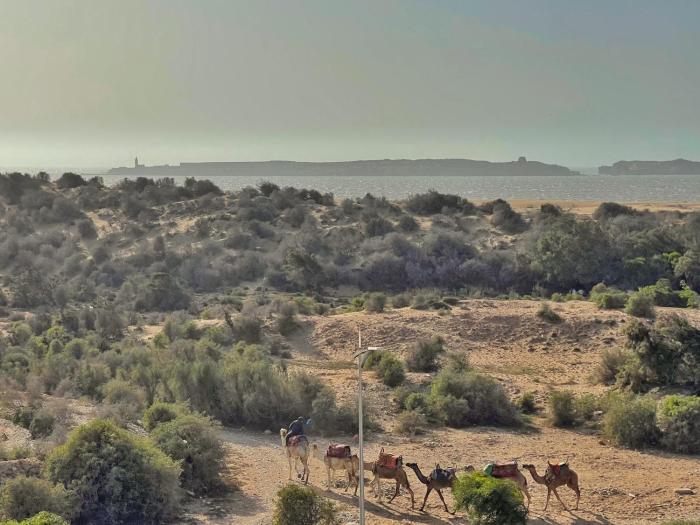 essaouira
