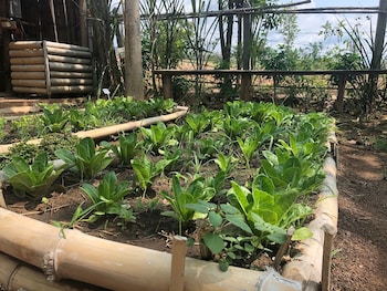 thammachatphan farm
