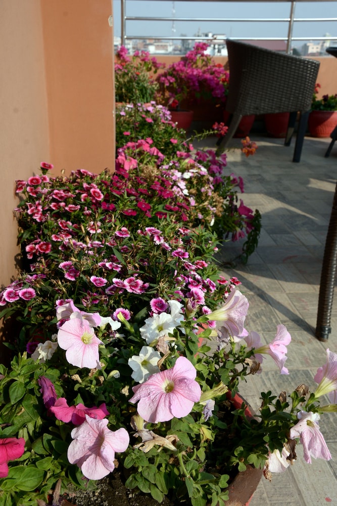 kasthamandap boutique hotel
