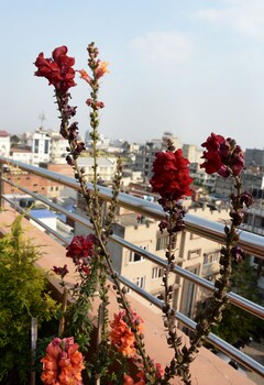 kasthamandap boutique hotel
