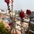 kasthamandap boutique hotel