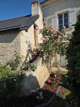 au pied du lavoir