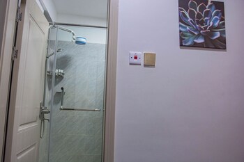 ashmere by edmor suites