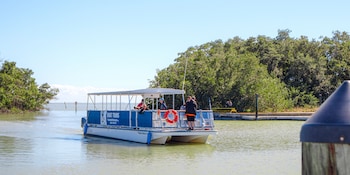 flamingo adventures lodge