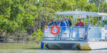 flamingo adventures lodge