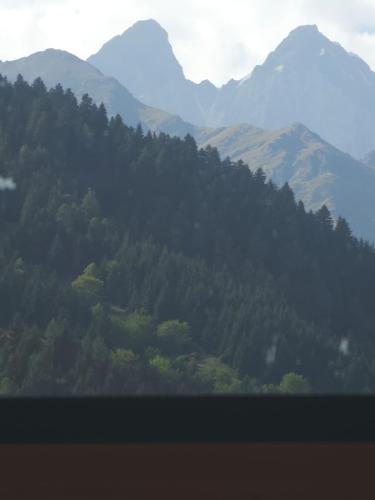 mestia pov luxury cabins