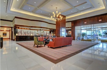 blu cashmere suite