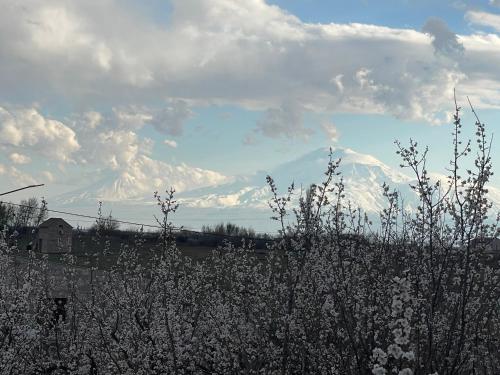 ruz and arian near zvartnots airport
