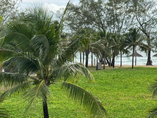 beachside bliss homestay