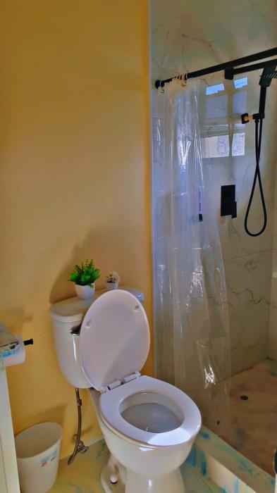 ocean view suites