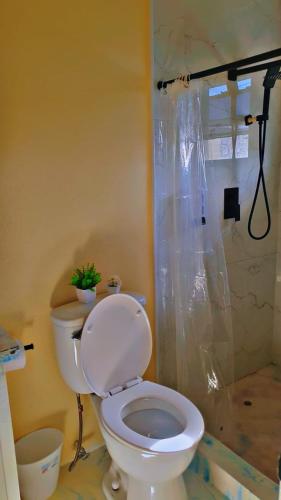 ocean view suites