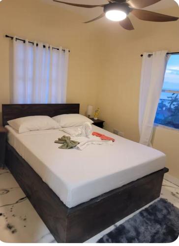 ocean view suites