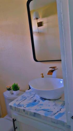 ocean view suites