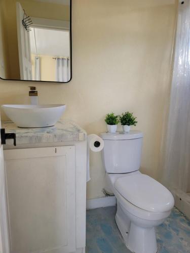 ocean view suites